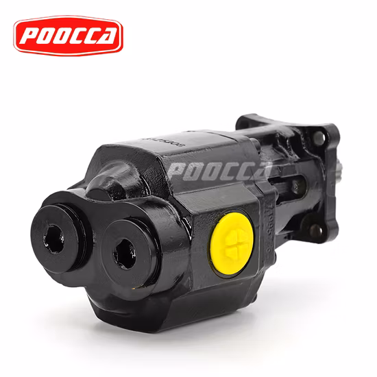 Pompe à huile hydraulique de pompe à engrenages de système de basculement de camion 100cc